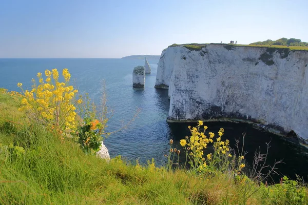 Old Harry Rocks Falésias Brancas Localizadas Ponto Handfast Perto Swanage — Fotografia de Stock