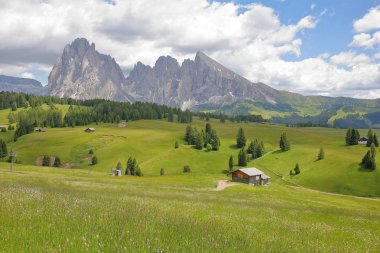 Alpe de Siusi Ortisei ön planda, Val Gardena, Dolomites, İtalya arka plan ve dağ kulübelerde Sassolungo ve Sassopiatto Dağları ile yukarıda