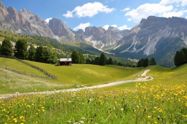 Puez Odle Sıradağları Raiser Pass Santa Cristina renkli çiçeklerle yukarıda ve ön planda, bir dağ kulübe her bakıldığında Val Gardena, Dolomites, İtalya