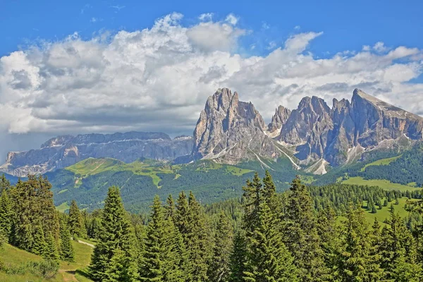Montagne Del Sassolungo Del Sassopiatto Viste Dall Alpe Siusi Sopra — Foto Stock