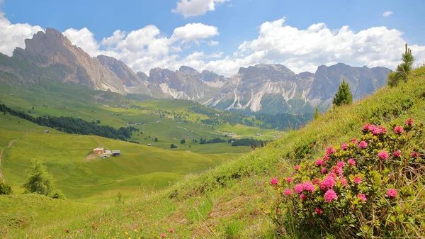 Catena Montuosa Puez Odle Vista Passo Escursionistico Che Conduce Monte — Foto Stock