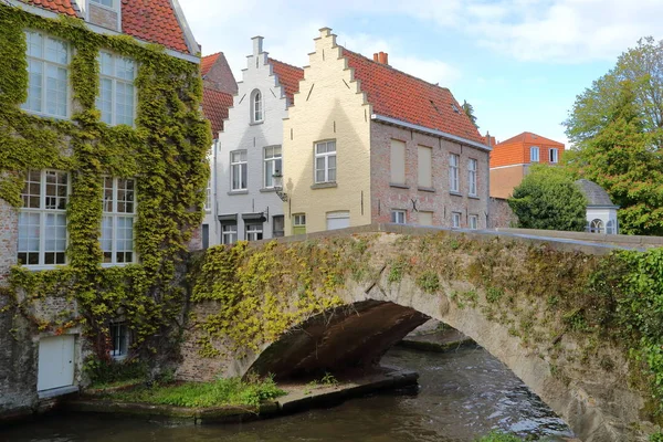 Façades Maisons Traditionnelles Pont Médiéval Sur Peerdenstraat Long Canal Vert — Photo