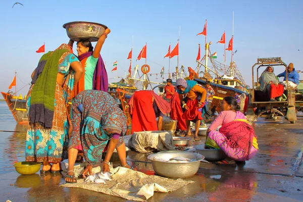 Diu インド 2014 女性の Diu Vanakbara 漁港で販売の魚を準備します — ストック写真