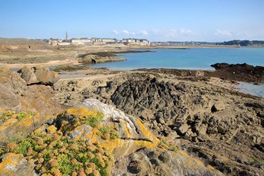 Görünümü, duvarlı şehir, Saint Malo Petit olmak Island'dan düşük gelgit, Saint Malo, Brittany, Fransa, renkli kayalar ve bitkiler ön planda