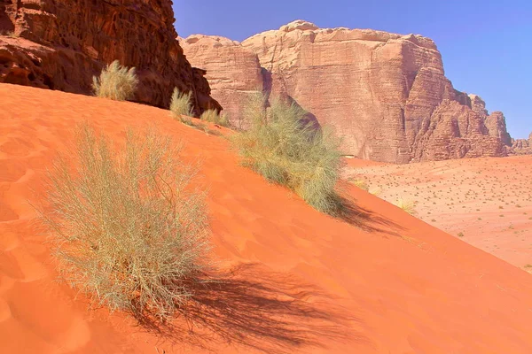 Colorido Desierto Ron Wadi Jordania Medio Oriente Con Coloridas Dunas — Foto de Stock