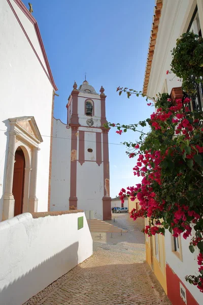 Algarve 포르투갈의 대성당 이어지는 화려한 꽃으로 자갈길된 — 스톡 사진