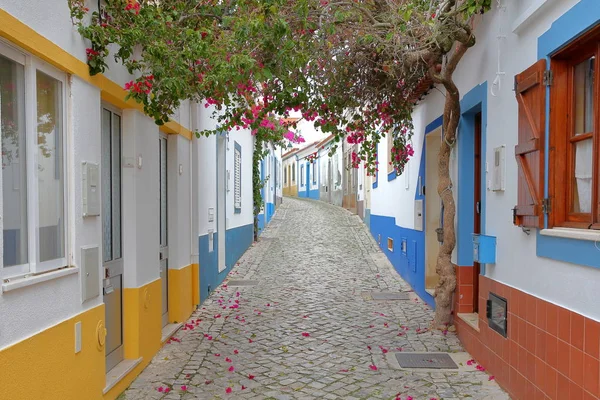 Scenic Betonowa Aleja Kolorowych Domów Kwiaty Rybackich Miejscowości Ferragudo Algarve — Zdjęcie stockowe