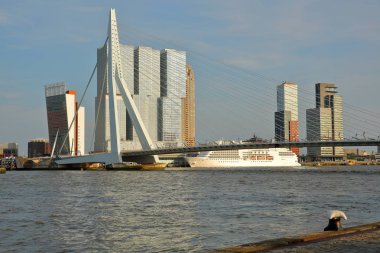 Boompjeskade nehir kenarından görüntülenen Erasmus köprüsü, arka planda modern gökdelenler, Rotterdam, Hollanda