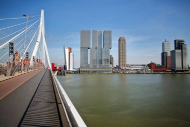 Arka planda modern gökdelenler ile Meuse nehri üzerinde Erasmus köprü, Rotterdam, Hollanda