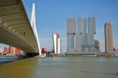 Arka planda modern gökdelenler ile Meuse nehri üzerinde Erasmus köprü, Rotterdam, Hollanda