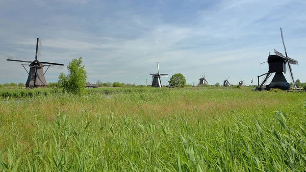 Traditionele Windmolens Binnen Een Landelijk Landschap Kinderdijk Unesco Werelderfgoed Nederland — Stockfoto