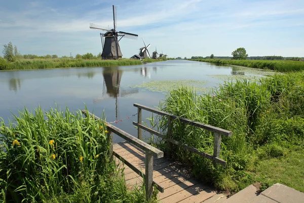 Traditionele Windmolens Binnen Een Landelijk Landschap Kinderdijk Unesco Werelderfgoed Nederland — Stockfoto