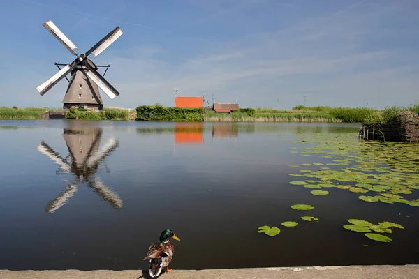 Reflecties Van Een Windmolen Kinderdijk Unesco Werelderfgoed Nederland Met Een — Stockfoto