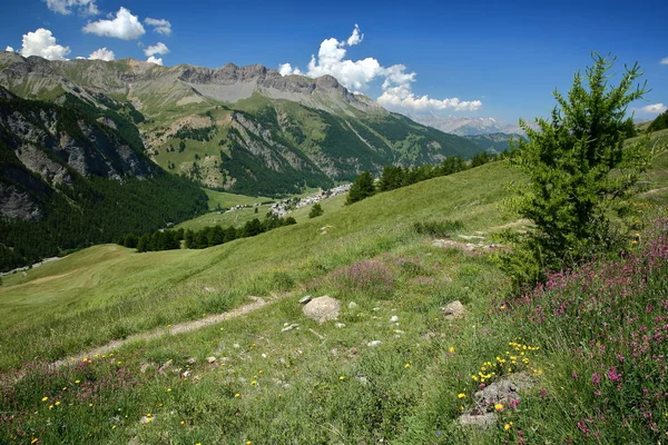 圣维兰村上方的绿色景观 松树林和圣维兰村的背景 圣维拉 奎拉斯地区自然公园 南阿尔卑斯山 — 图库照片