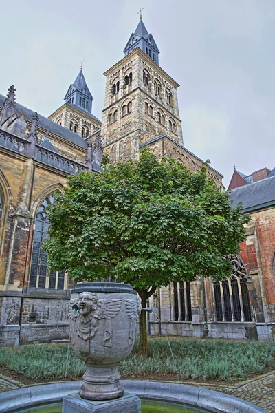 Maastricht Nederländerna Augusti 2019 Innergården Till Basilikan Saint Servatius Talets — Stockfoto