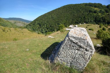Bosna-Hersek 'in Bjelasnica dağlarındaki Umoljani köyüne yakın Stecak mezar taşları (sembolik motiflerle süslenmiş)