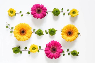 Beyaz arka plan üzerinde renkli çiçekler çiçek aranjmanı.