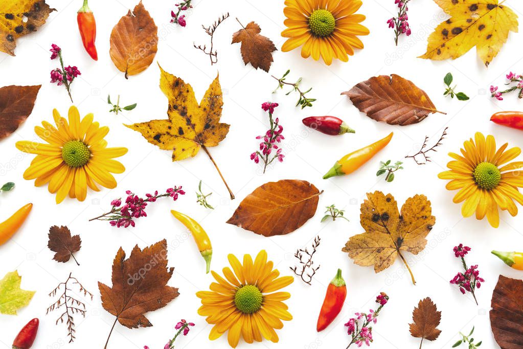 Autumn pattern with orange daisy flowers, chili peppers, and colorful leaves on white background.