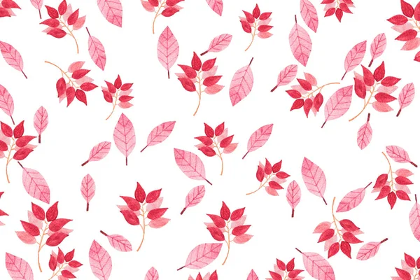 秋季图案与水彩树叶和树枝在白色的背景 — 图库照片