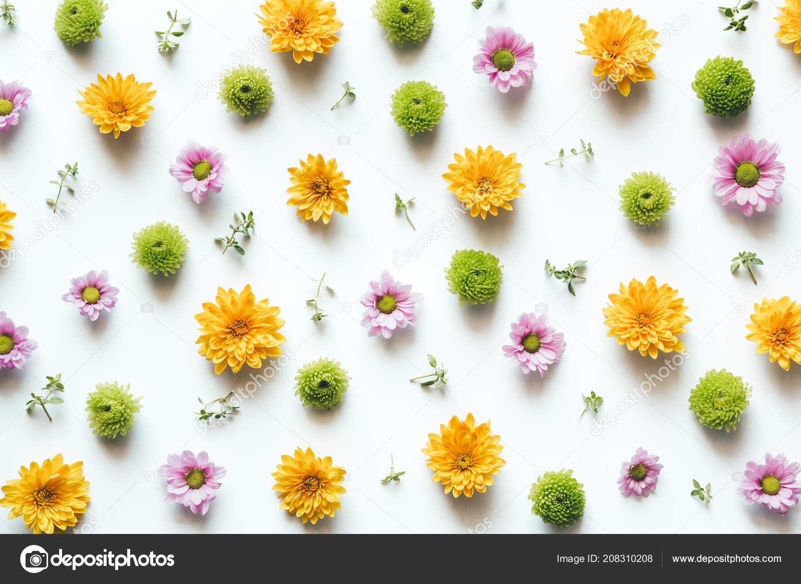 花のデザイン写真素材 ロイヤリティフリー花のデザイン画像 Depositphotos 花のデザイン写真素材 ロイヤリティフリー花のデザイン画像 Depositphotos