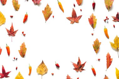 Sonbahar desen renkli yaprakları, çilek ve beyaz zemin üzerine pul biber ile.