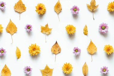 Sarı yaprakları ve beyaz arka plan üzerinde renkli çiçekler ile sonbahar desen.