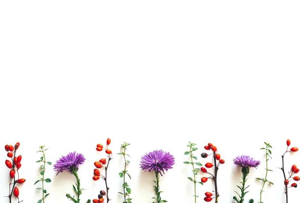 Autumn Pattern Red Berries Green Twigs Purple Flowers White Background — Stock Photo, Image