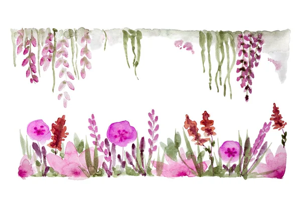 Pembe çayır çiçek beyaz zemin üzerine suluboya çerçeveli. Tasarım öğesi.