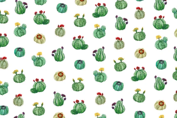 Patrón Marco Completo Con Varios Cactus Ilustración Acuarela — Foto de Stock