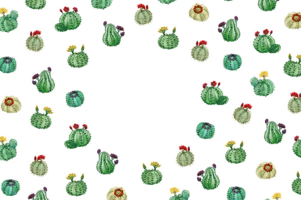 Tło Różnych Kaktusów Miejsce — Zdjęcie stockowe