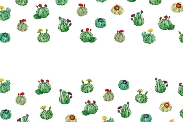 Tło Różnych Kaktusów Miejsce — Zdjęcie stockowe