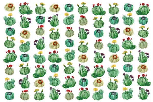 Pełna Klatka Wzór Różnych Kaktusów Akwarela Ilustracja — Zdjęcie stockowe