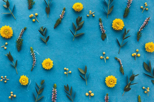 Spring Pattern Leaves Flowers Seeds Blue Background — Stock Photo, Image