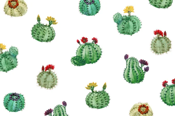 Pełna Rama Wzór Różnych Kaktusów — Zdjęcie stockowe