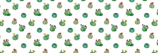 Patrón Marco Completo Con Varios Cactus — Foto de Stock