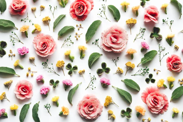 Desen renkli çiçekler ve beyaz zemin üzerine yeşil yaprakları ile. Tam kare. Yukarıdan görüntüleyin. Düz yatıyordu.