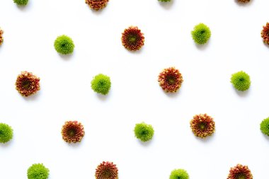 Beyaz arka plana karşı çiçek kafaları.