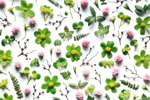 Spring Floral Pattern — Stock Photo, Image