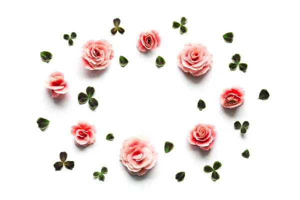 Fondo de primavera con flores de Begonia rosa y hojas de trébol — Foto de Stock