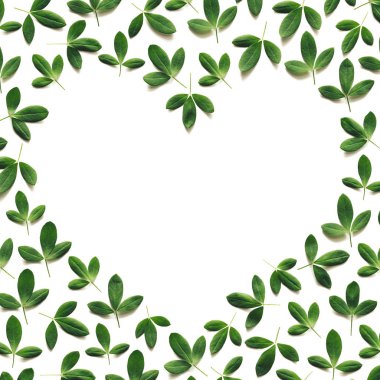 Kalp Şeklinde Yeşil Yapraklar