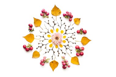 Sonbahar Mandala Made Made Dry Leaves, Çilek, Dallar Ve Pembe Flowe