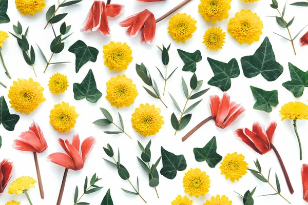 Padrão de mola feito de ciclânios, folhas de hera, flores amarelas e — Fotografia de Stock