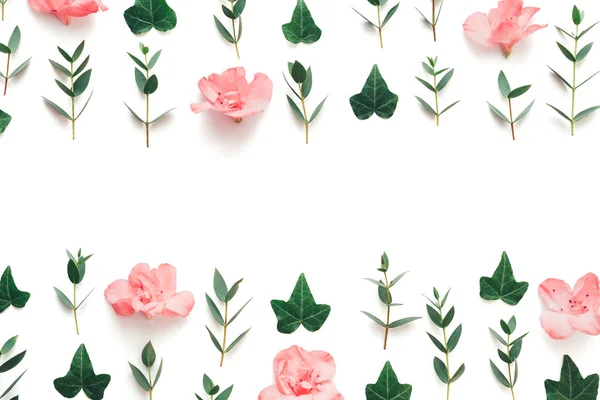 Quadro Feito Flores Azálea Rosa Macio Folhas Verdes Fundo Branco — Fotografia de Stock