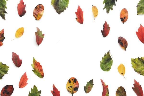 Φθινοπωρινό φόντο με πολύχρωμα φύλλα — Φωτογραφία Αρχείου