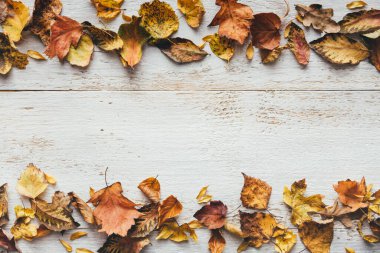 Sonbahar renklerinde, beyaz tahta üzerinde kuru yapraklardan yapılmış çerçeve. Yukarıdan bak. Düz yatıyordu. Boşluğu kopyala.