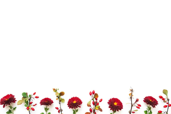 Outono Galhos Coloridos Folhas Flores Vermelhas Fundo Branco Vista Cima — Fotografia de Stock