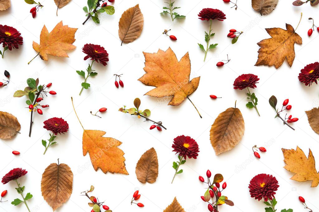 Autumn colored twigs, leaves, berries and red flowers on white background. View from above. Flat lay. Full frame.
