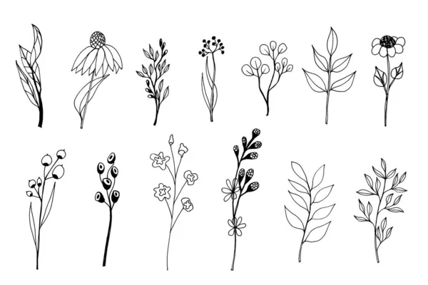 Collection Hand Drawn Plants Flowers Leaves Branches Twigs White Background — Stock Photo, Image