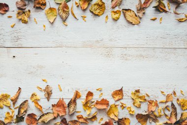 Sonbahar renklerinde, beyaz tahta üzerinde kuru yapraklardan yapılmış çerçeve. Yukarıdan bak. Düz yatıyordu. Boşluğu kopyala.