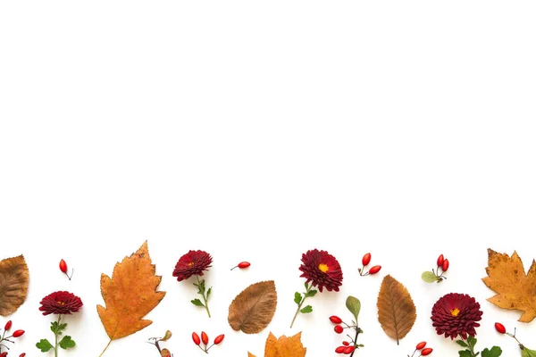 Φθινοπωρινά Χρωματιστά Κλαδιά Φύλλα Και Κόκκινα Λουλούδια Λευκό Φόντο Θέα — Φωτογραφία Αρχείου